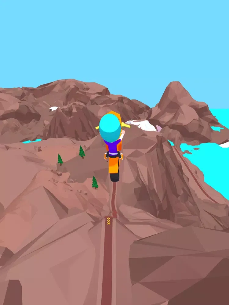 Ảnh chụp màn hình của Risky Rider iPad 