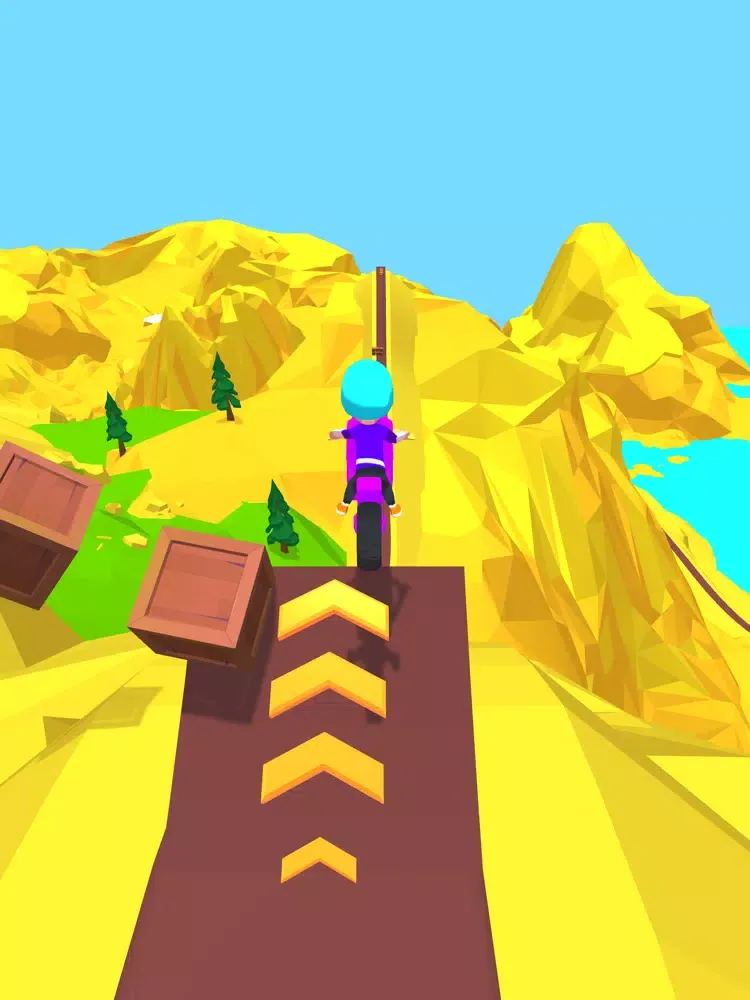 Ảnh chụp màn hình của Risky Rider iPad 