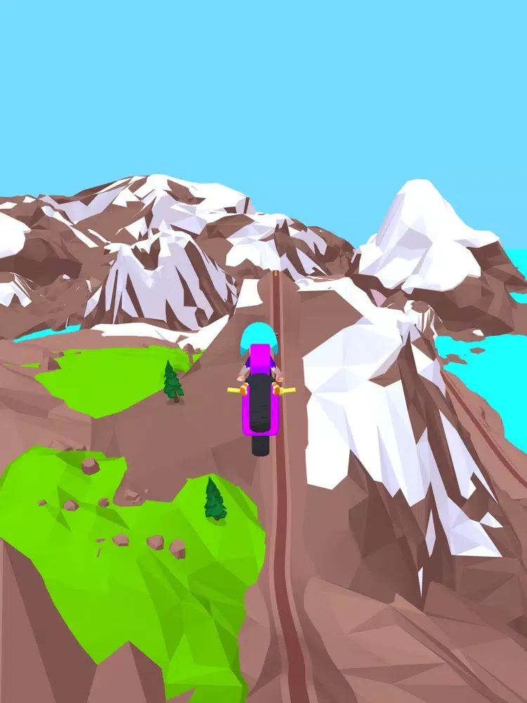 Ảnh chụp màn hình của Risky Rider iPad 