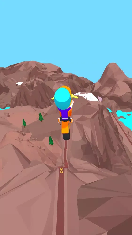Ảnh chụp màn hình của Risky Rider