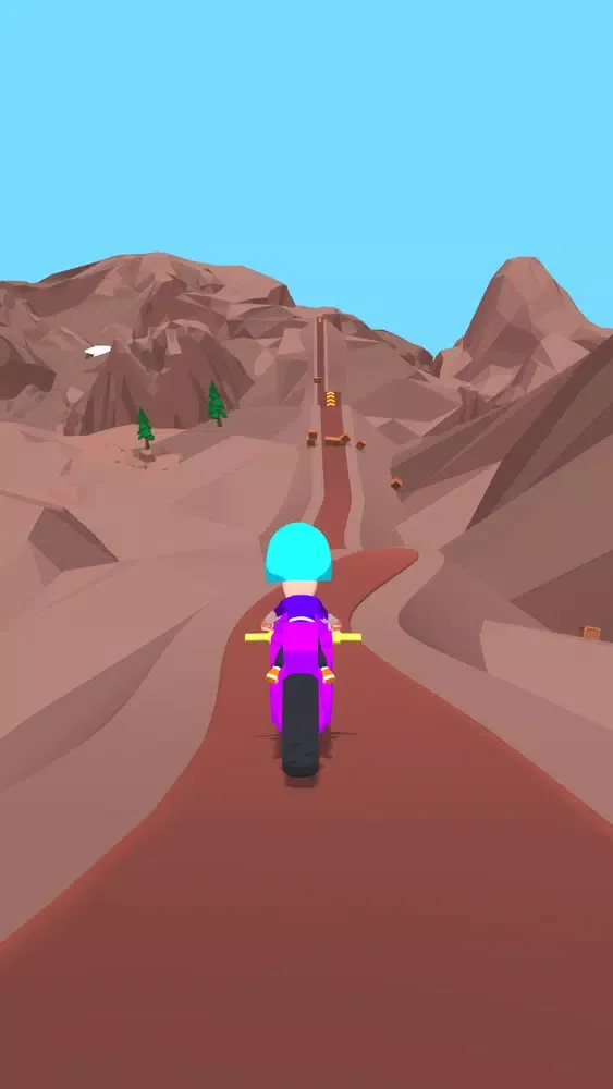 Ảnh chụp màn hình của Risky Rider