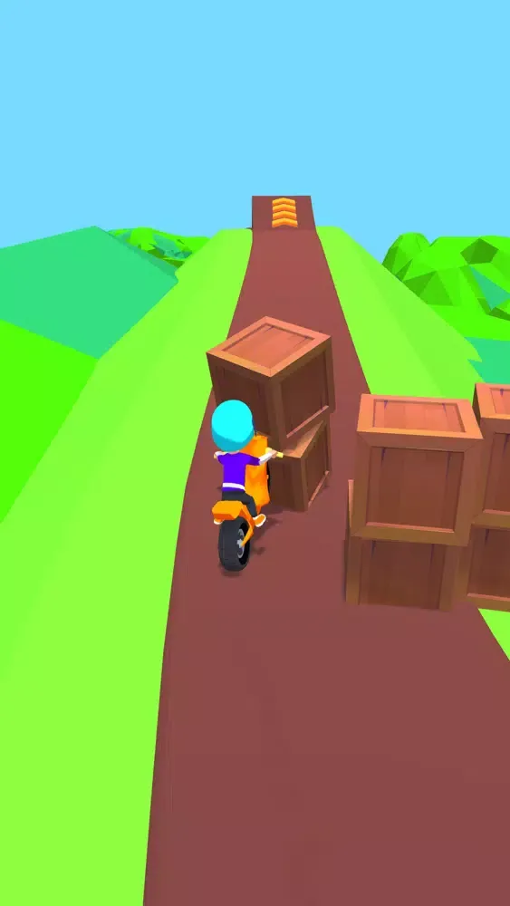 Ảnh chụp màn hình của Risky Rider