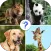 Guess The Animal: Animals Quiz