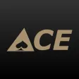 Ace Auto Parts - St. Paul, MN