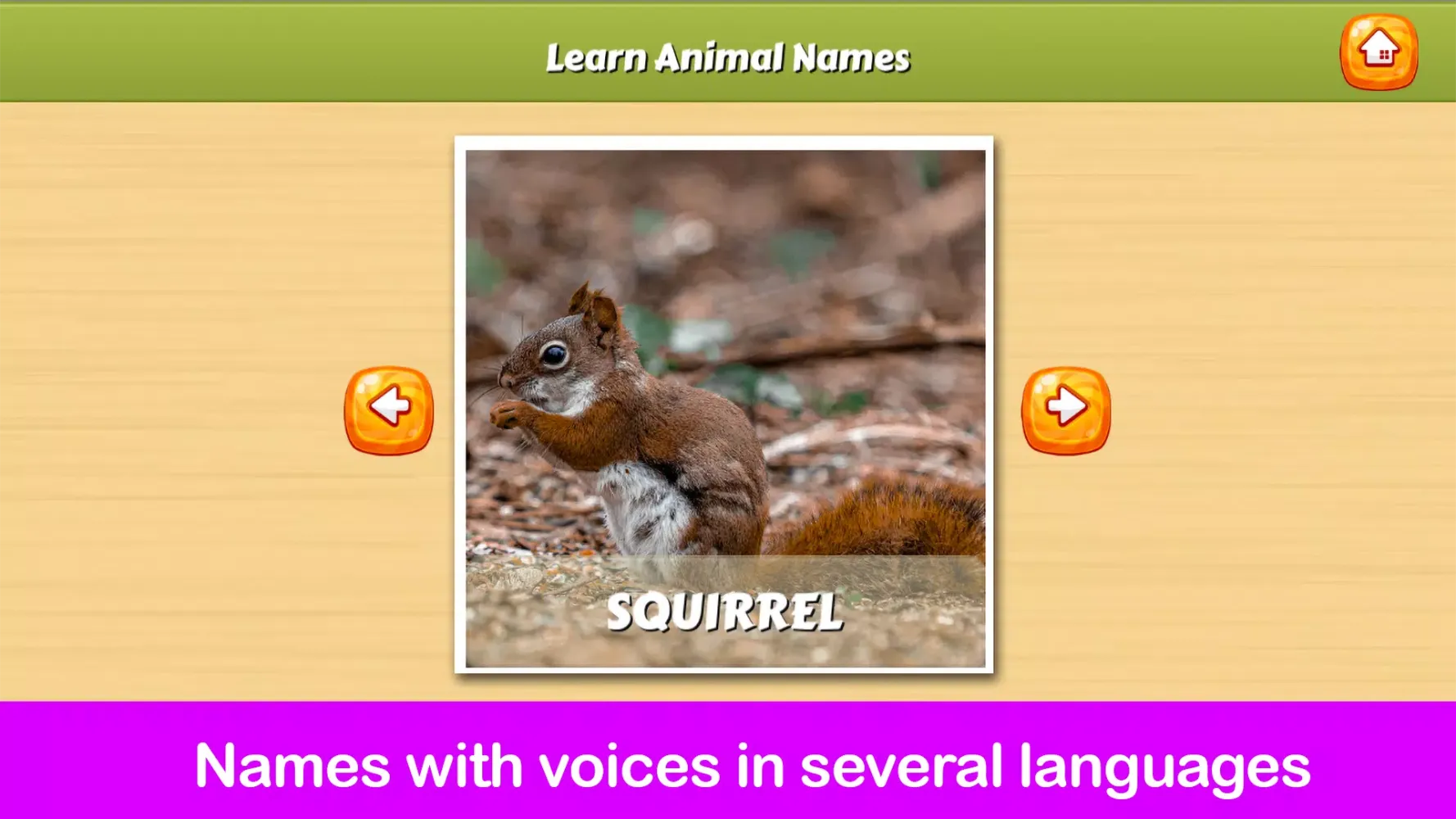 صور Learning Play Animal Names