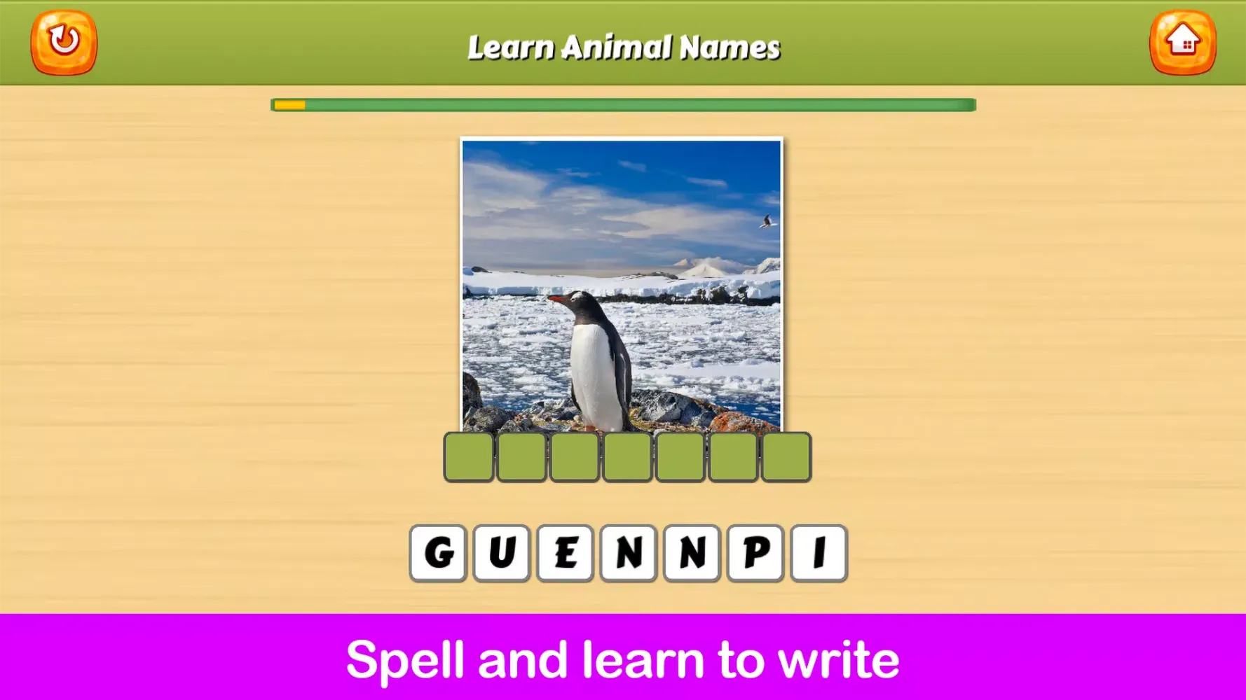 صور Learning Play Animal Names
