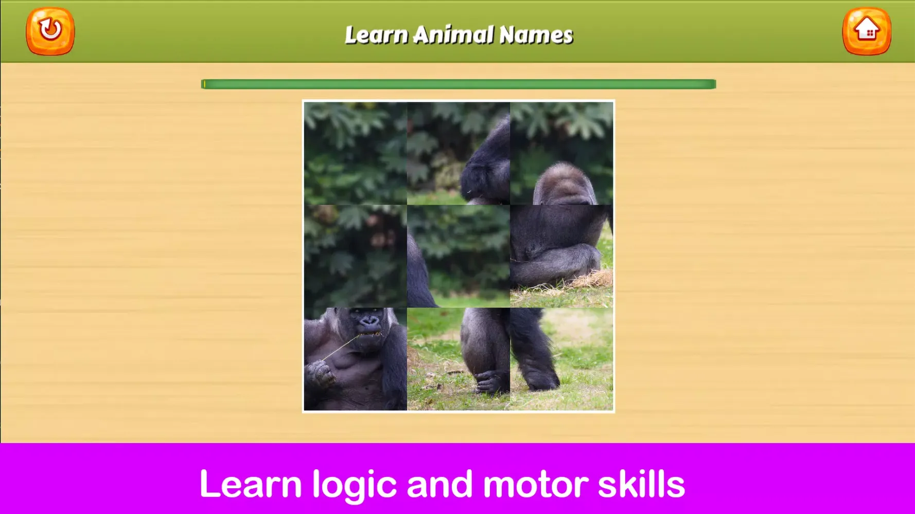 صور Learning Play Animal Names