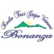 Taxis Bonanza