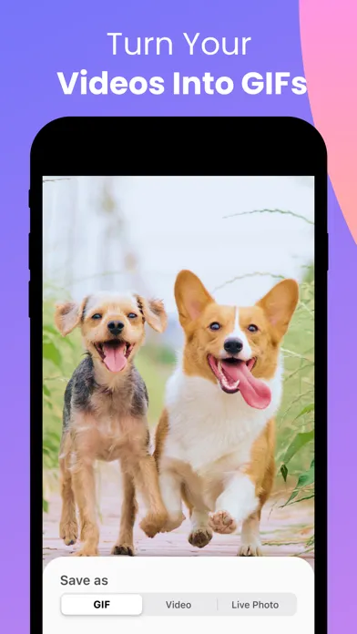 Tangkapan layar Convert: GIF Maker & Wallpaper