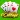 Cribbage