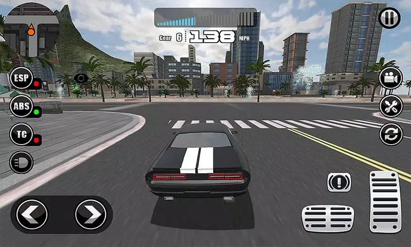 Fanatical Driving Simulator Screenshots