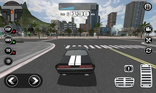 Fanatical Driving Simulator-screenshot-3