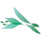CargoFlowers Driver