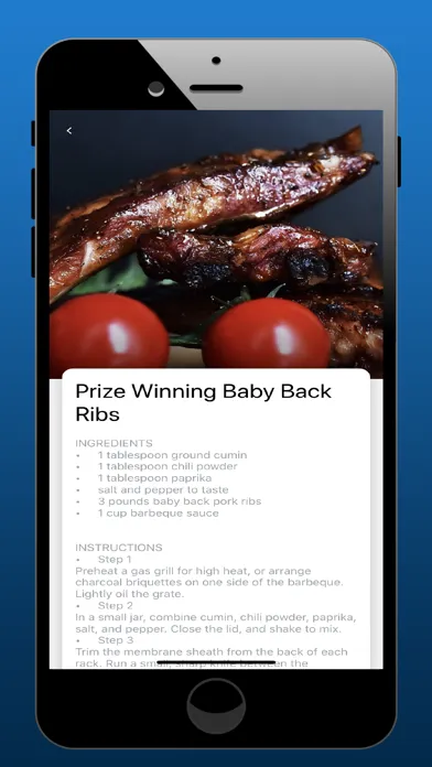 How To BBQ Right Recipes Screenshots