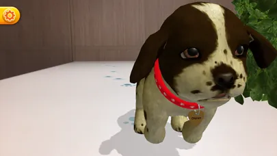 Capturas de tela do My Perfect Puppy