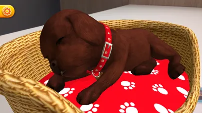 Capturas de tela do My Perfect Puppy