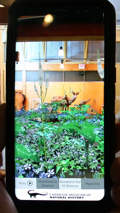 Captures d'écran de AR Perpetual Garden