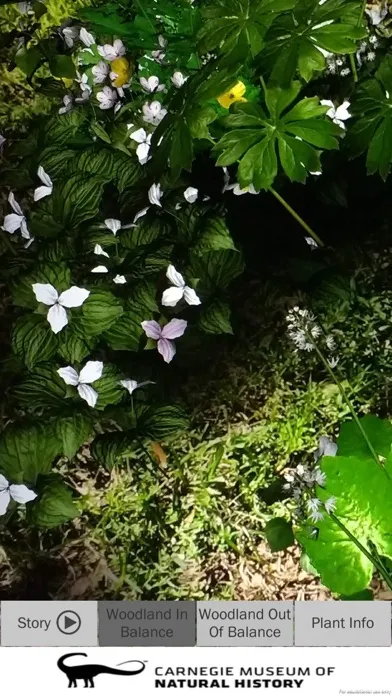 Captures d'écran de AR Perpetual Garden