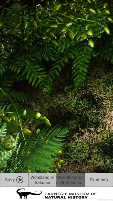 Captures d'écran de AR Perpetual Garden