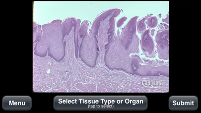 Captures d'écran de Animal Histology