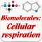 Biomolecules: Cell respiration