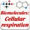 Biomolecules: Cell respiration