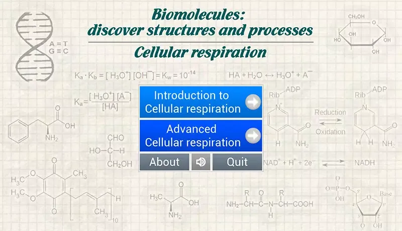 Biomolecules: Cell respiration应用截图