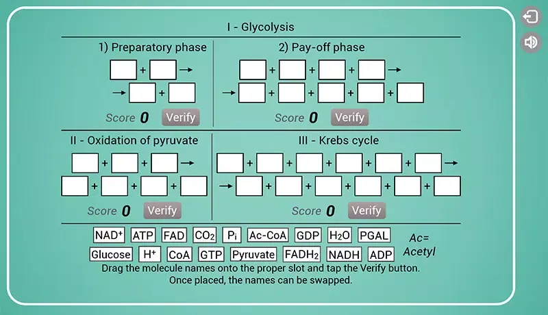 Biomolecules: Cell respiration应用截图