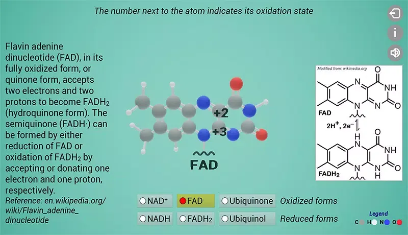 Biomolecules: Cell respiration应用截图