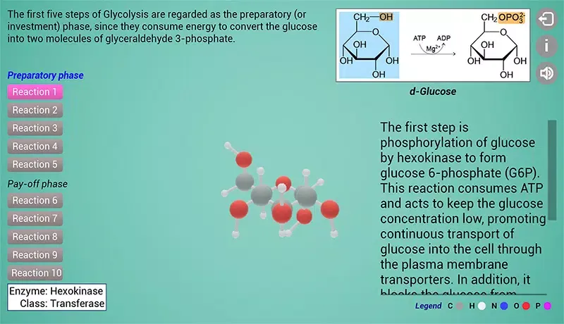 Biomolecules: Cell respiration应用截图