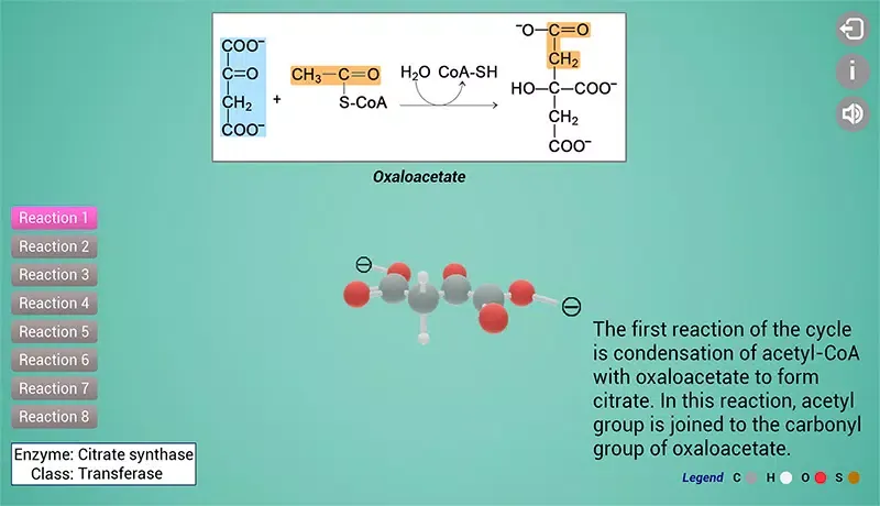 Biomolecules: Cell respiration应用截图