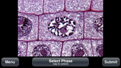 Captures d'écran de Plant Histology Lite