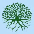 Branches Stress Relief Branches Stress Relief
