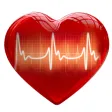 HeartBeat Visualisation HeartBeat Visualisation