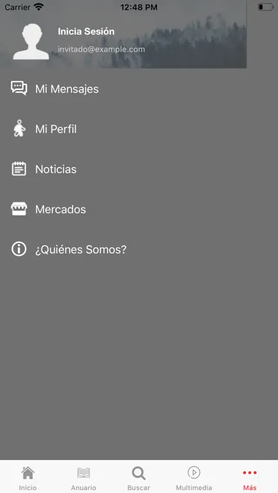 Zrzuty ekranu Anuario Latam Seguros