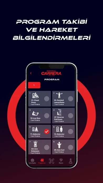 Zrzuty ekranu Carrera Mistral Dijital Tesis