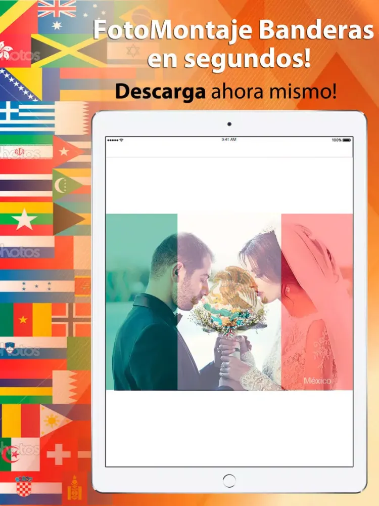 Banderas de Todo el Mundo Marcos para Fotos iPad  스크린샷