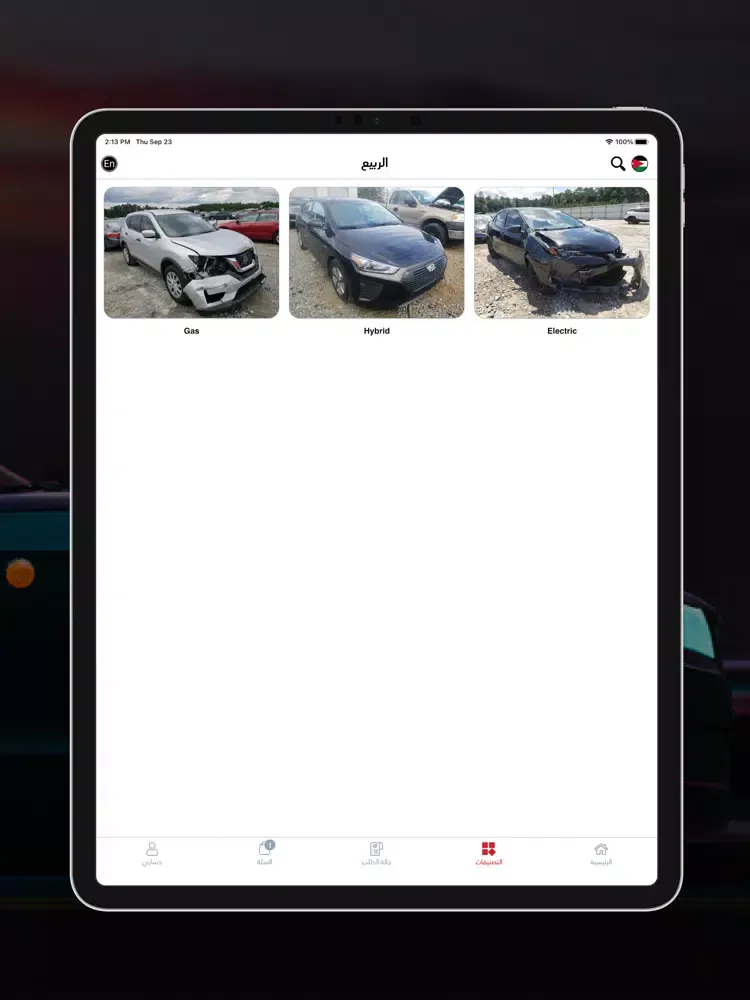 Ảnh chụp màn hình của Fasel Alrabee iPad 