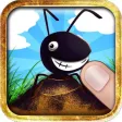 Ant Wanted - Smash Insect and Squish Frogs Game