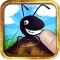 Ant Wanted - Smash Insect and Squish Frogs Game