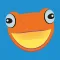 Flying Frog Car Wash