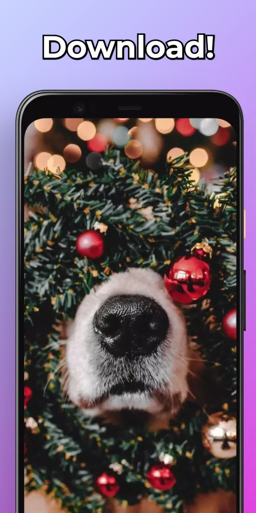 Christmas Wallpapers HD应用截图