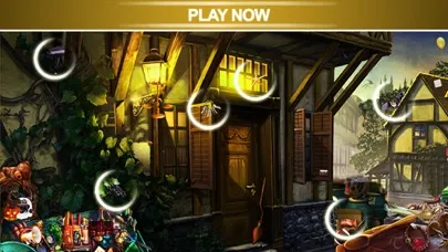 Hidden Objects Puzzles HD应用截图