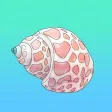 Seashell Sticker Pack