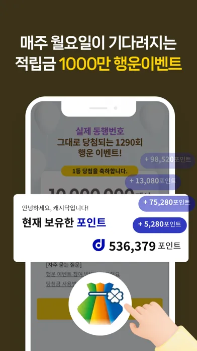 صور 캐시닥 - 병원 후기, 예약, 시술 최저가를 한눈에