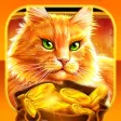 SummerTime Casino Games