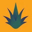 Agave Verona
