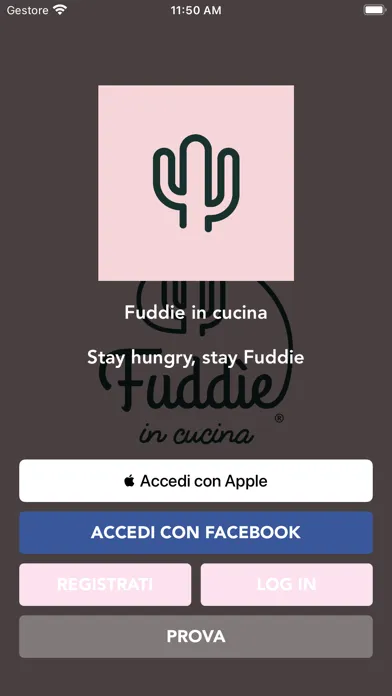 صور Fuddie in cucina