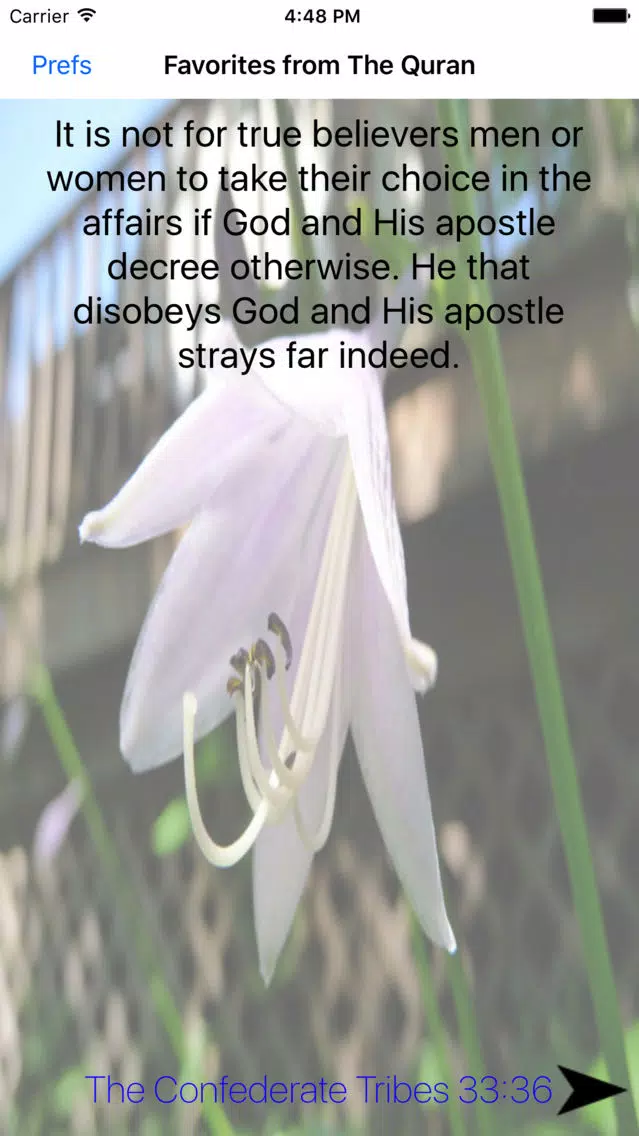Favorite Verses from The Qur'an سکرین شاٹس