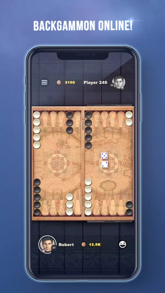 King of Dice: Backgammon Ekran Görüntüleri